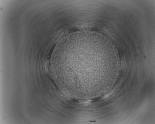 X0000068810671200605121252