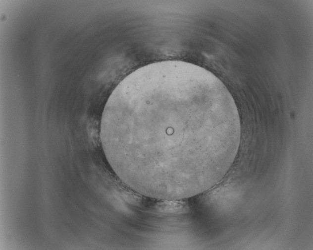 X0000068810672200605121252