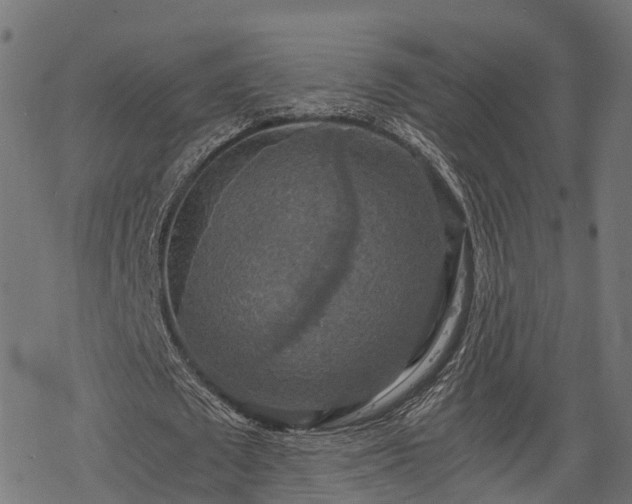 X0000068810673200605121251