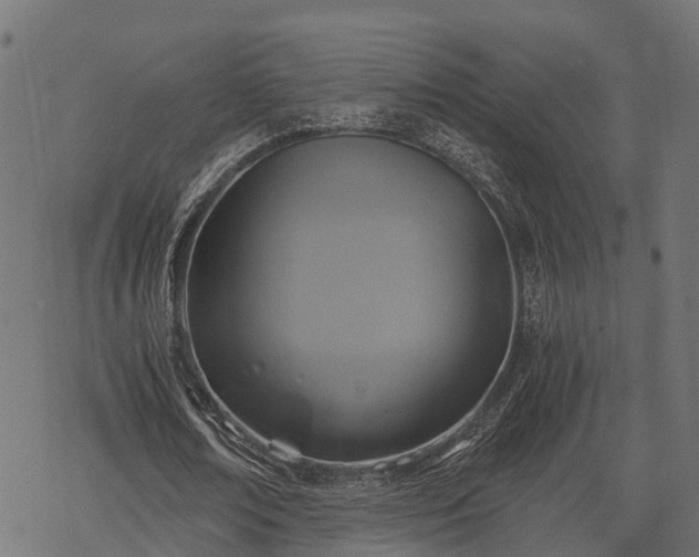 X0000068810674200605121251