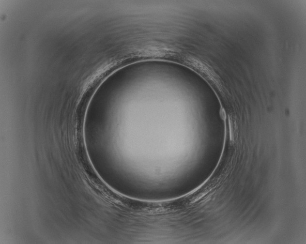 X0000068810675200605121251