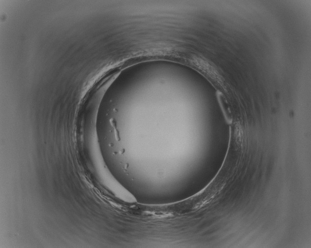 X0000068810676200605121251