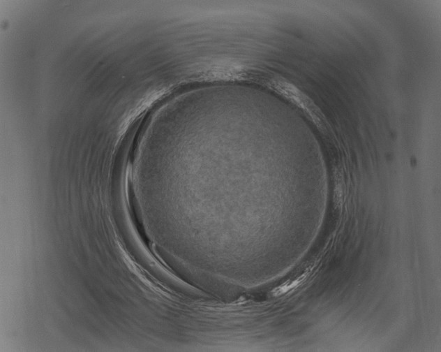 X0000068810677200605121251