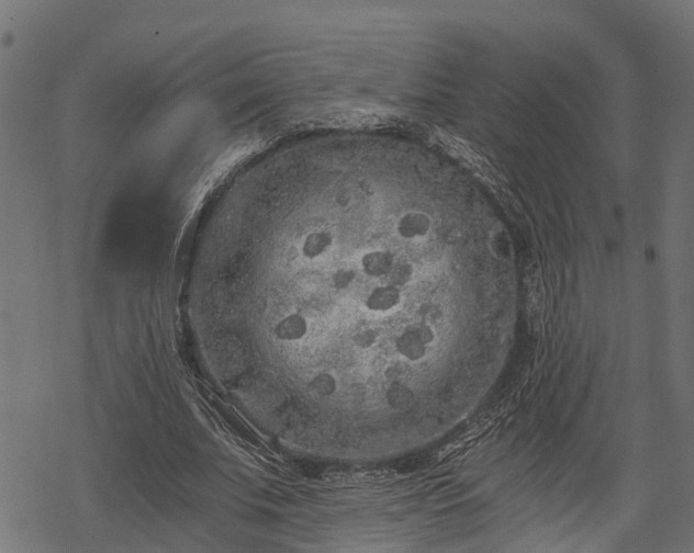 X0000068810679200605121251