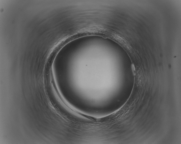 X0000068810680200605121251