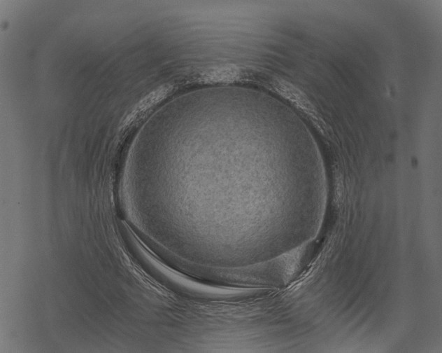 X0000068810681200605121251