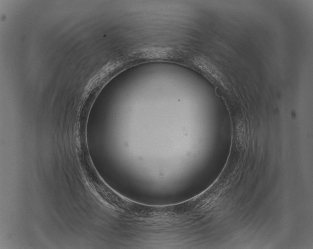 X0000068810682200605121251