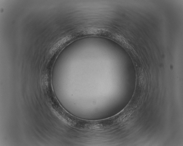 X0000068810683200605121251