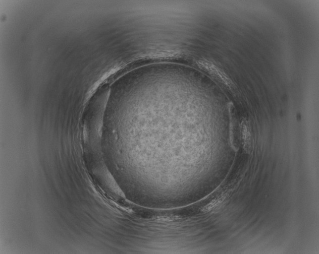 X0000068810684200605121251