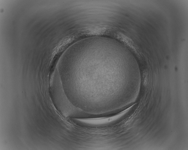 X0000068810685200605121251