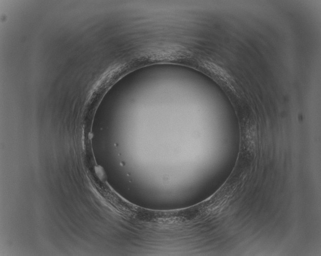 X0000068810686200605121251