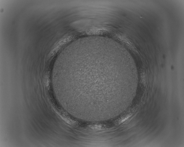 X0000068810687200605121251