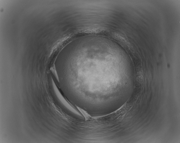 X0000068810688200605121251