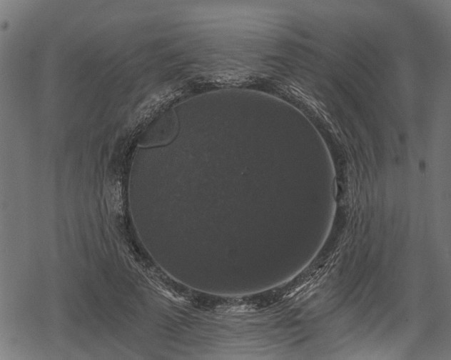 X0000068810689200605121251