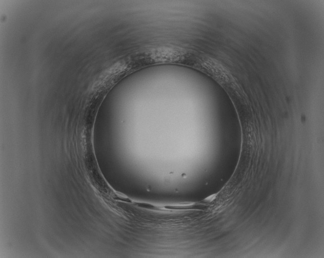 X0000068810690200605121251