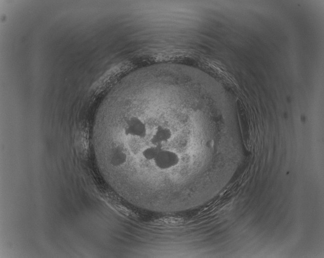 X0000068810691200605121251