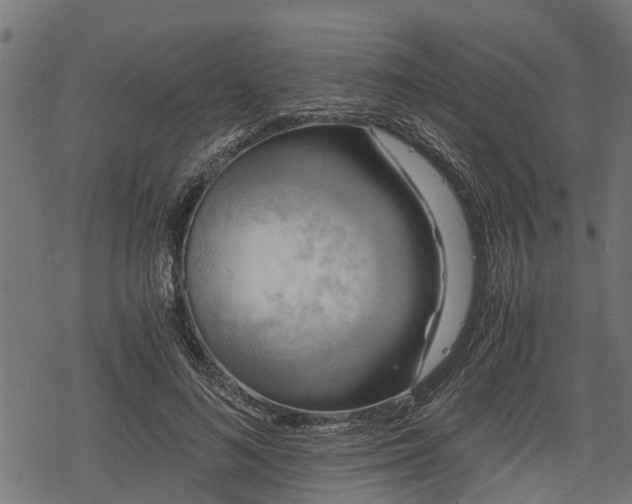 X0000068810692200605121251