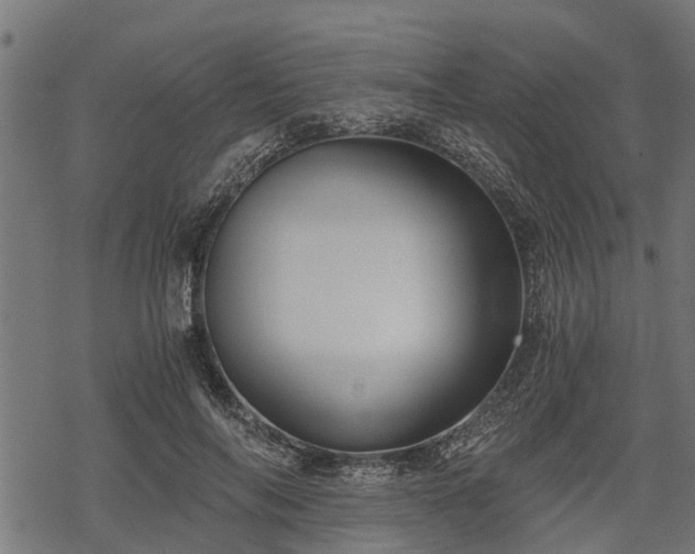 X0000068810694200605121251