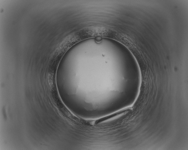 X0000068810695200605121251