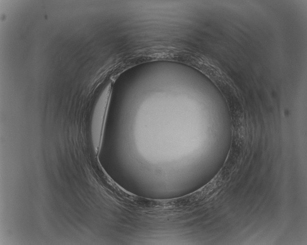 X0000068810696200605121251