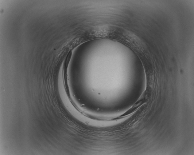 X0000068810697200605121251