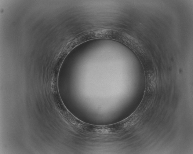 X0000068810698200605121251