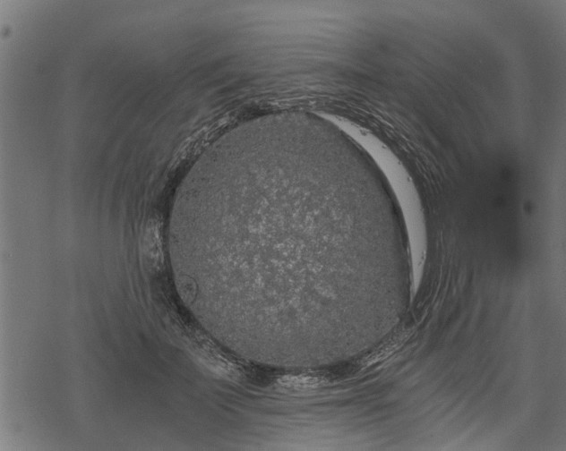 X0000068810699200605121251