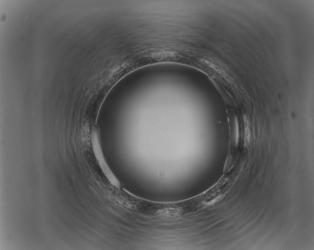 X0000068810700200605121251