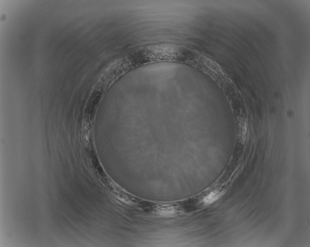 X0000068810701200605121250