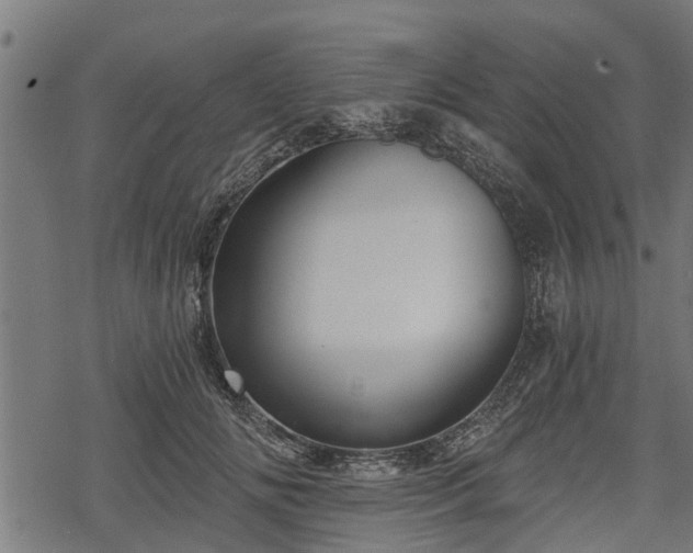 X0000068810702200605121250