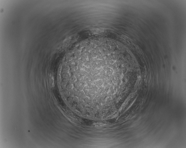 X0000068810703200605121250