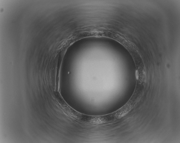 X0000068810704200605121250