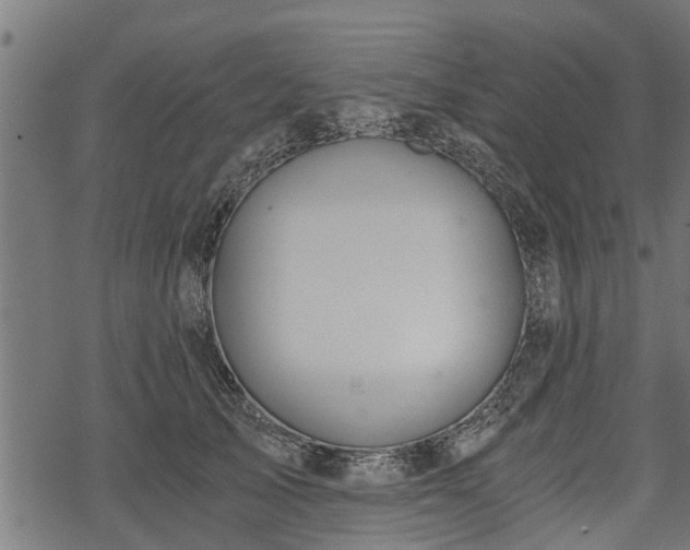 X0000068810705200605121250