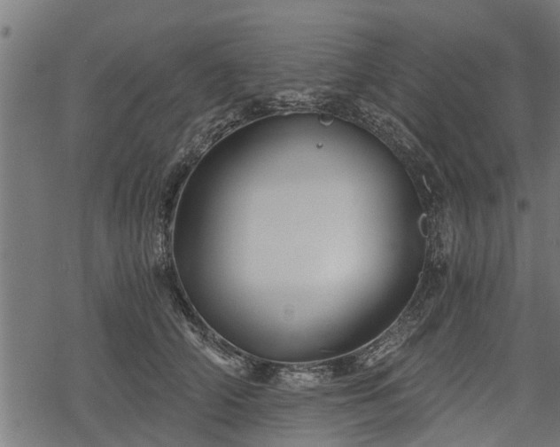 X0000068810706200605121250