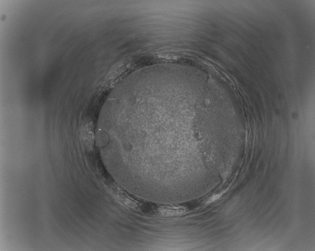 X0000068810707200605121250