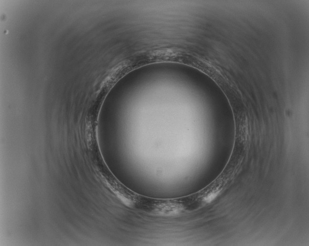 X0000068810708200605121250