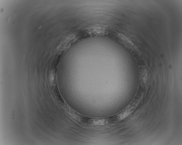 X0000068810709200605121250