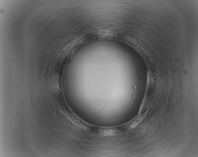 X0000068810710200605121250