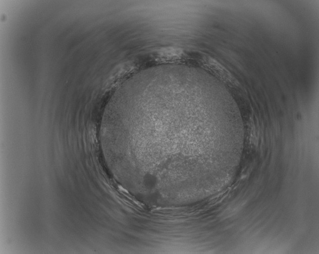 X0000068810711200605121250