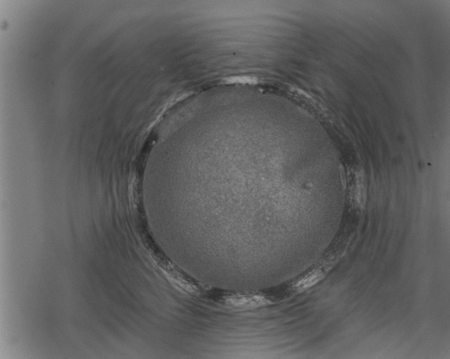 X0000068810712200605121250