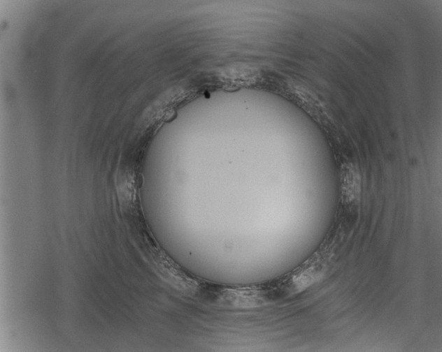 X0000068810713200605121250