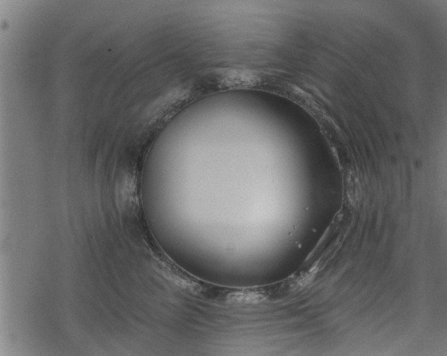 X0000068810714200605121250