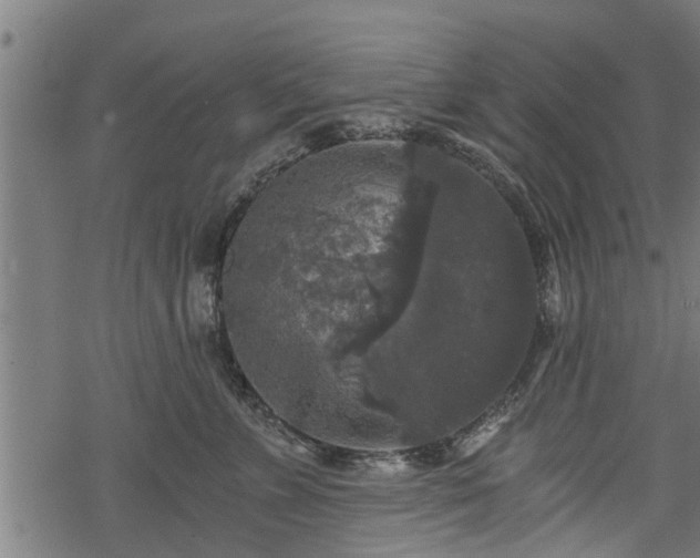 X0000068810715200605121250