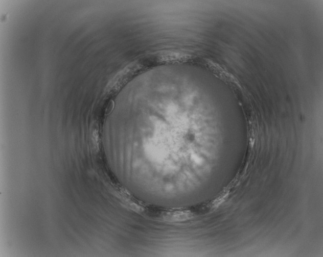 X0000068810716200605121250