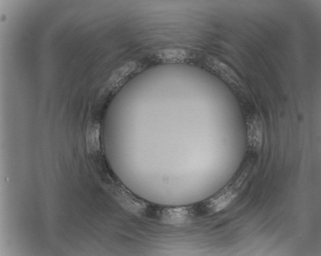 X0000068810717200605121250