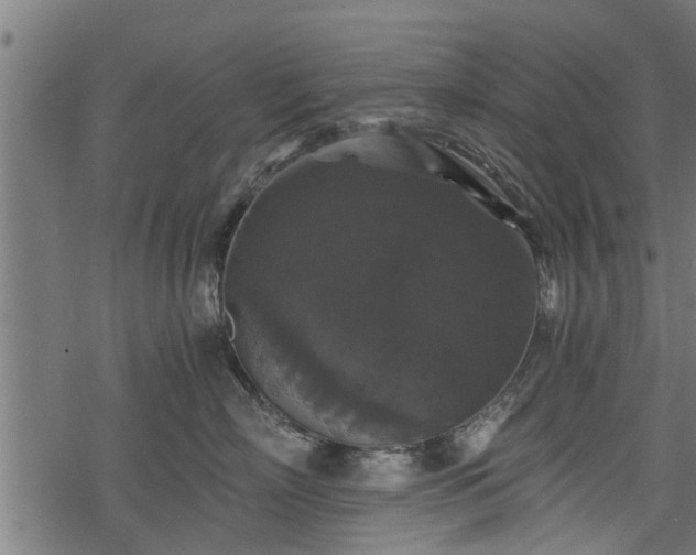 X0000068810718200605121250