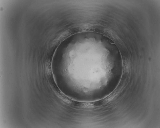 X0000068810719200605121250