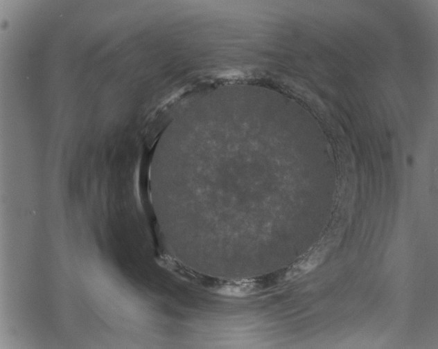 X0000068810720200605121250