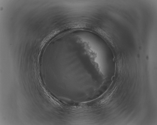 X0000068810721200605121249