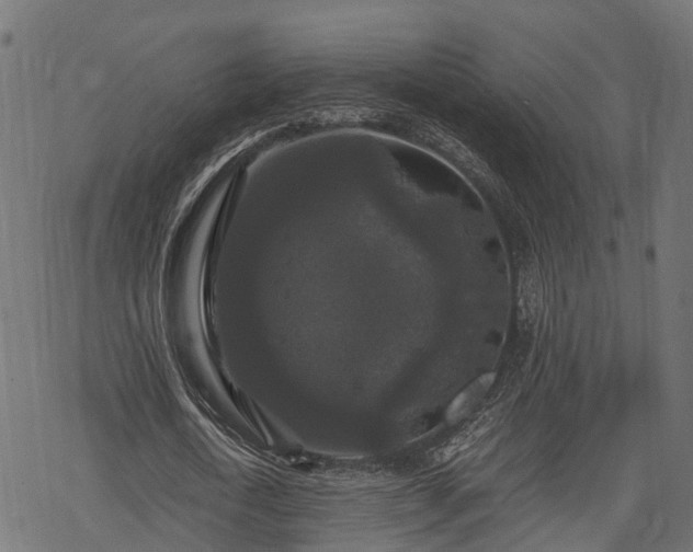 X0000068810722200605121249